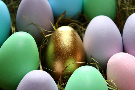 一个金色的东面蛋和许多彩蛋花朵贺卡装饰巢穴金子干草金蛋背景图片