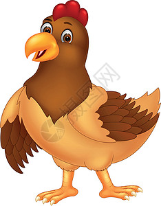 有趣的棕色母鸡鸡卡通背景图片