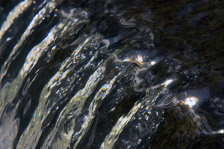 清澈的水反射苏的特写镜头背景图片