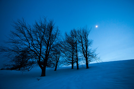 仙仙冬夜风雪月月公园月亮月光场景童话天空寒意树木蓝色美丽背景图片