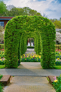 制作花坛素材在公园的春天花坛旅游植物群园林环境植物园绿化自然环境花朵旅行背景