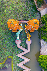 龙虎台湾高雄的龙和虎塔神社场景景观荷花池佛教徒宝塔文化历史性公园走营背景