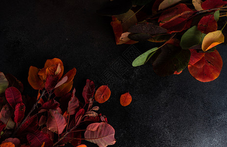 黄叶的秋边框餐巾食物公园刀具桌子叶子环境餐具季节性花园背景图片