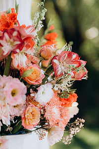 婚前装饰接待风格绿色木头蜡烛美丽花园作品背景图片