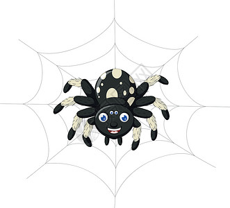 黑色蜘蛛网黑色白色蜘蛛挂在蜘蛛网上卡通插画