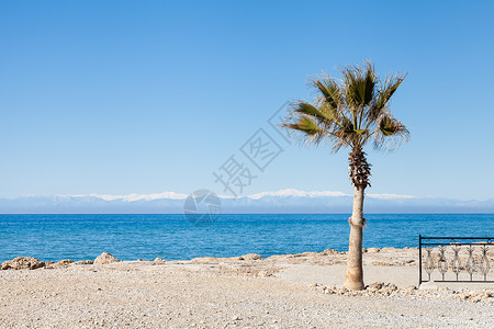 边水滨海景天堂海岸线天空海洋火鸡支撑棕榈晴天蓝色背景图片