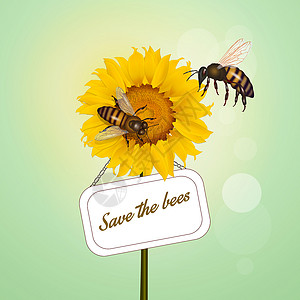 黄色蜜蜂标签蜜蜂授粉吉祥物蜂巢条纹灭绝花冠昆虫花瓣向日葵花朵黄色背景