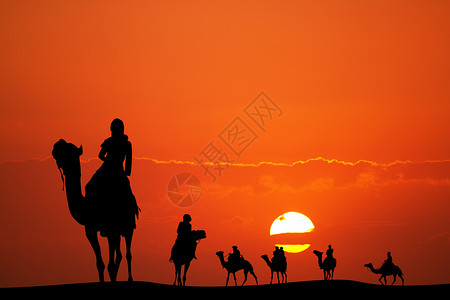 日落骆驼骑骆驼插图背景图片
