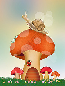 蘑菇上的蜗牛灌木丛瓢虫树叶季节天线昆虫脊椎动物插图草地背景图片