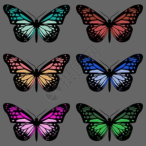 灰色背景上有六只五颜六色的蝴蝶的无缝图案设计图片