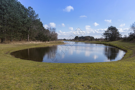 国家公园中的美景池塘背景图片
