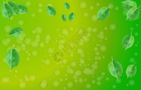 普洱散茶绿色散景抽象光背景设计图片