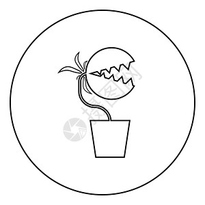 食虫植物与牙齿在盆图标在圆圈圆形轮廓黑色矢量插图平面样式 imag插画