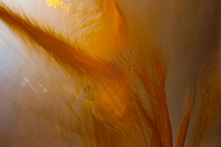 各种设计的橙色背景橙子运动丝绸火焰墙纸帆布刷子奢华水泥古董背景图片