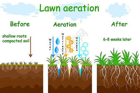 草坪曝气阶段插图 曝气前后培育草原服务园丁说明土壤通风操作标签花园设计图片