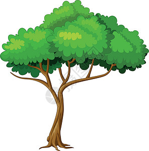 绿叶树卡通热带漫画乐趣吉祥物绿色孩子们植物木头插图快乐背景图片
