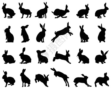 兔子剪影兔子的剪影设计图片