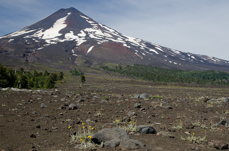 火山地区Conguillio国家公园的Llaima火山荒野林地顶峰山峰木头风景山脉场景森林会议背景