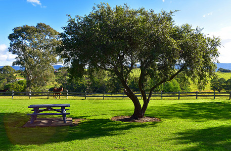 休息区野餐桌子座位长椅农场栅栏背景图片