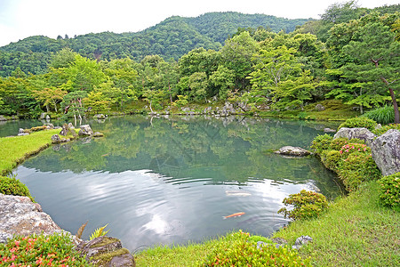 日式经典圆框绿色植物 山地 鱼类 在日本有反射的湖泊公园树木花园绿色岩石植物石头池塘农村季节背景