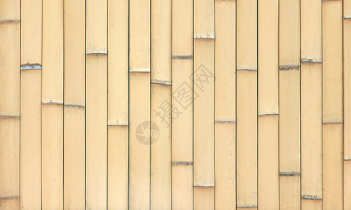 浅棕色米色柱纹理竹背景背景图片
