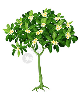 美丽的绿树与白色的常春藤花卡通背景图片