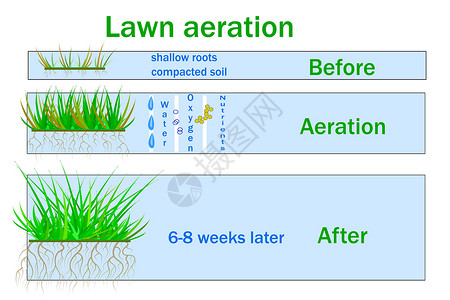 草坪通气 促进植物生长 水和空气自由进入土壤标签季节草地设计师公司通风绿化园丁插图养分插画