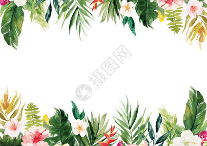 白色花边框与植物和花边框的白色白纸背景生日母亲文档桌子页脚材料纪念日周年地平线横幅插画