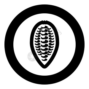 鲍勃·迪伦可可鲍勃豆可可果巧克力种子图标圆圈黑色矢量插图平面样式图像插画