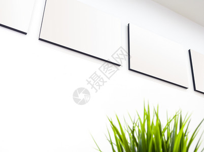 墙上的空白画布图框长方形边界画廊白色帆布艺术装饰品植物背景图片