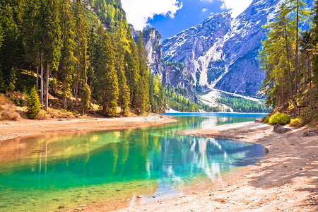 Braies湖和小溪边的伊德利克阿尔卑斯山风景背景