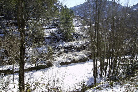 白日依山尽阳光明媚的白日雪雪山风景爬坡日落季节旅行松树假期天气气候童话森林背景