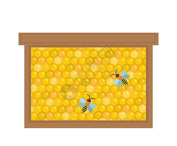 卡通蜂巢在木制框架 iconflat 风格的蜂窝 孤立在白色背景上 插图剪贴画背景