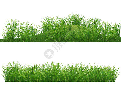草之刃草背景叶子簇绒生长元素插图植物学设计绿色季节环境插画