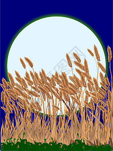 对抗月球生长农业橙子插图艺术品艺术小麦农田玉米满月背景图片