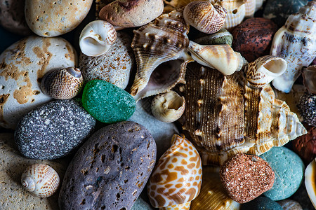 与海石的夏天卡片概念框架海洋热带环境制品白色石头假期陶瓷背景图片