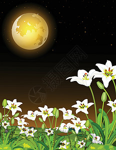 风景草地夜景与满月和白色常春藤花卡通背景图片