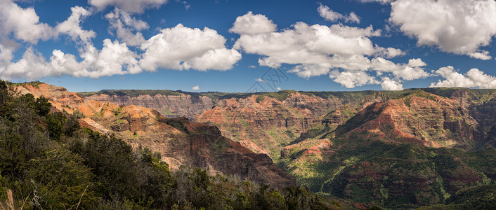 威美亚峡谷夏威夷Kauai岛Iliau自然环绕的Waimea峡谷全景侵蚀悬崖岩石荒野风景绿色假期地质红色戏剧性背景