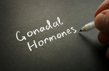 性腺Gonadal荷尔蒙手写在黑页上背景