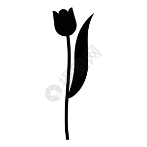 花郁金香植物剪影图标黑色矢量说明背景图片