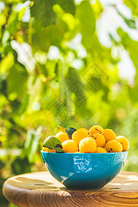 黄樱桃李 蓝色碗水滴诃子矿物质小吃玻璃植物群包装烹饪花园晴天杯子背景