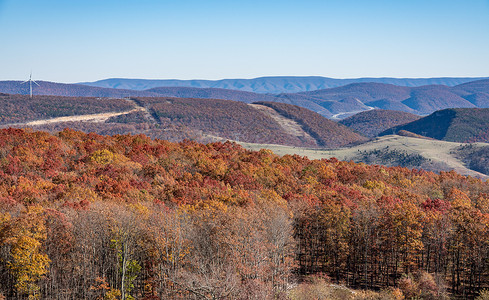 阿巴拉契亚在西弗吉尼亚州Allegheny山上观察新的US48高速公路背景