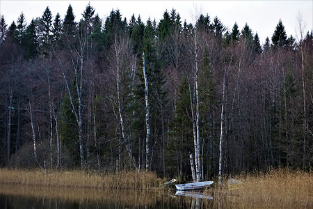 Nuuksio国家公园湖的美丽风景高清图片