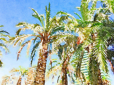 水彩棕榈树艺术品美术高清图片
