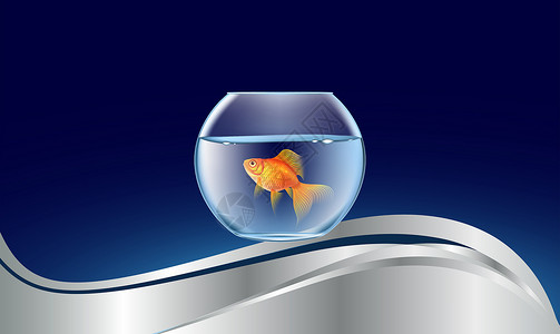 金鱼缸的素材抽象波背景上的金鱼缸鱼缸宠物自由金子水族馆野生动物活动鲫鱼飞溅游泳插画