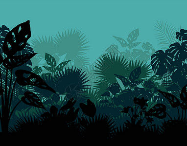 丛林剪影森林丛林卡通片中美丽的热带常春藤植物剪影插画