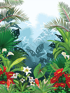 秋海棠热带森林中美丽的常春藤植物和花卉与背景动画片中的植物剪影插画