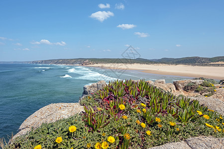 在葡萄牙西海岸的卡拉帕泰拉海滩上海藻岩石天空海浪石头海滩海岸线沙丘海洋背景图片