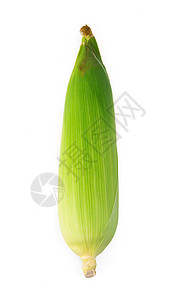 白背景上孤立的甜玉米农场粮食叶子植物农业耳朵绿色白色棒子黄色背景图片