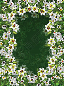 美丽的白色常春藤花和植物卡通矢量它制作图案背景图片